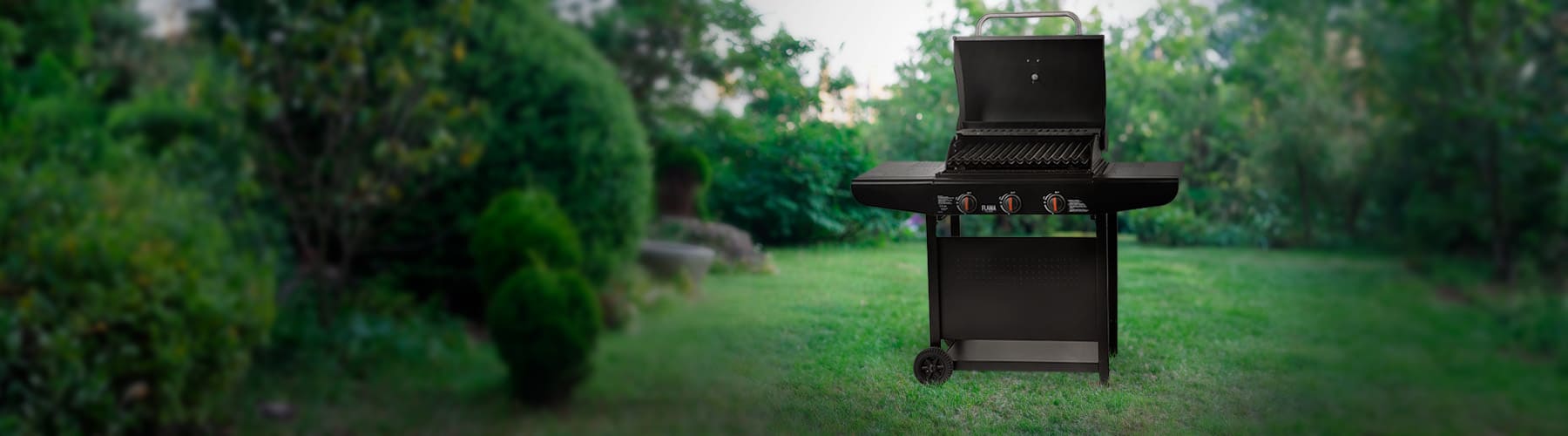 Imagen representativa de Gas